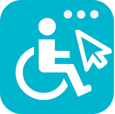 Check Accessibility Conformance
